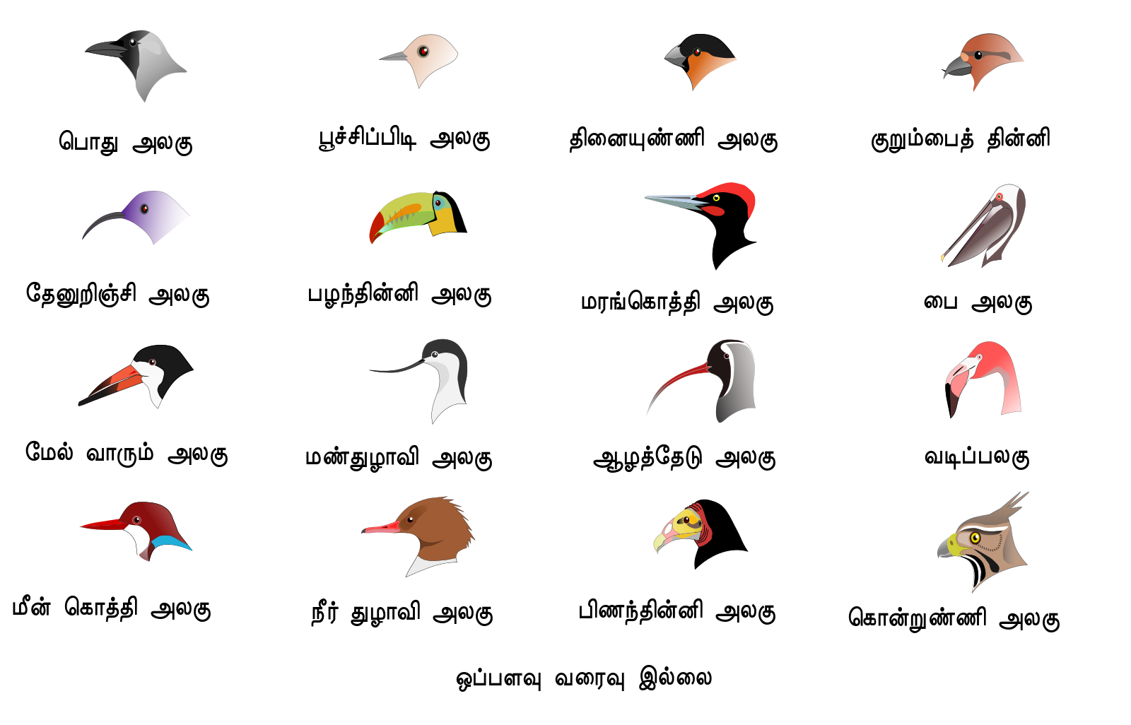 Разнообразие клювов. Клювы птиц. Разнообразие клювов птиц. Типы клювов у птиц. Разнообразие форм клюва птиц.