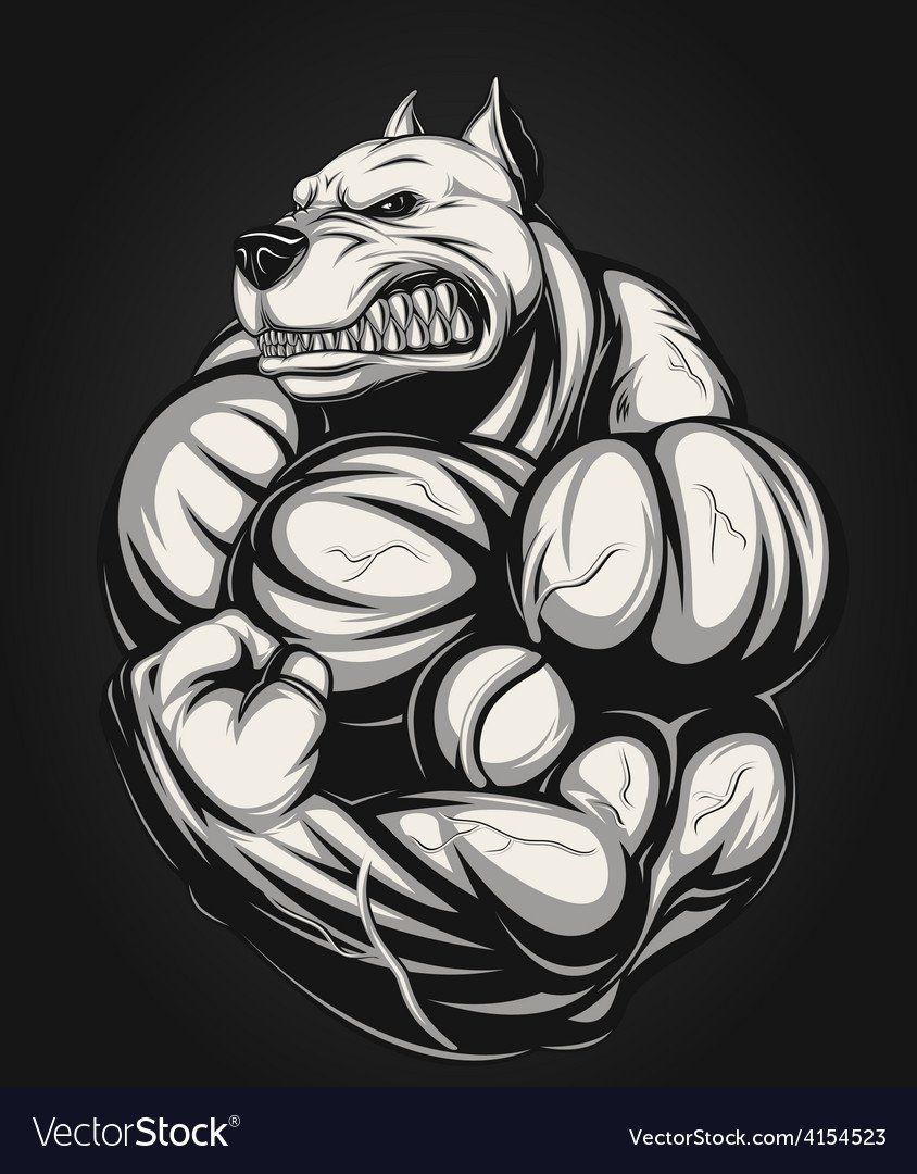 Бодибилдинг животные