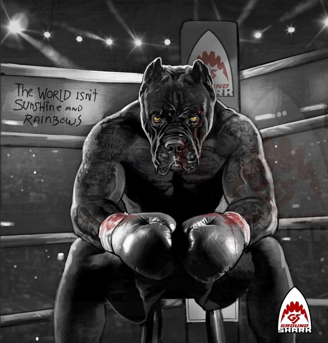 Собака миостатин