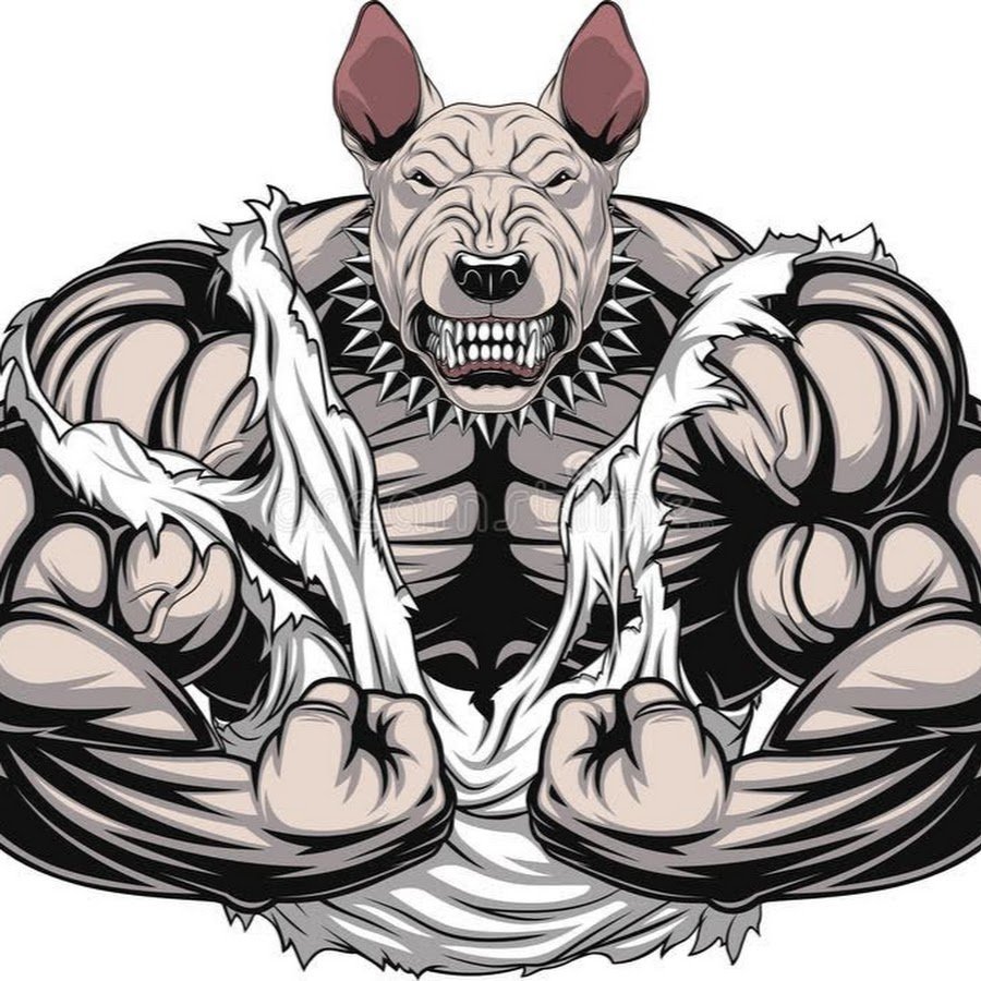 Бодибилдинг животные