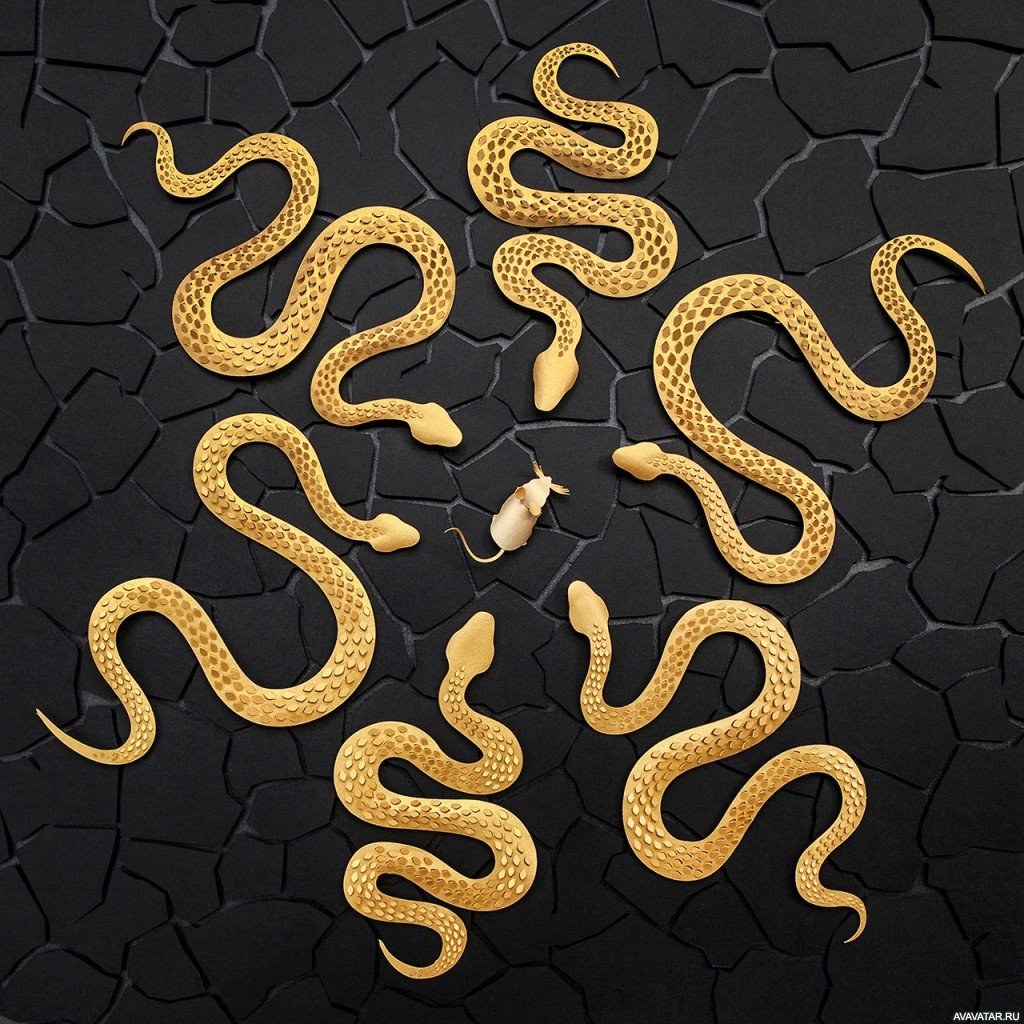 Гвидо Мокафико змеиная коллекция