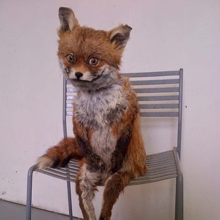 Упоротый Лис чучело