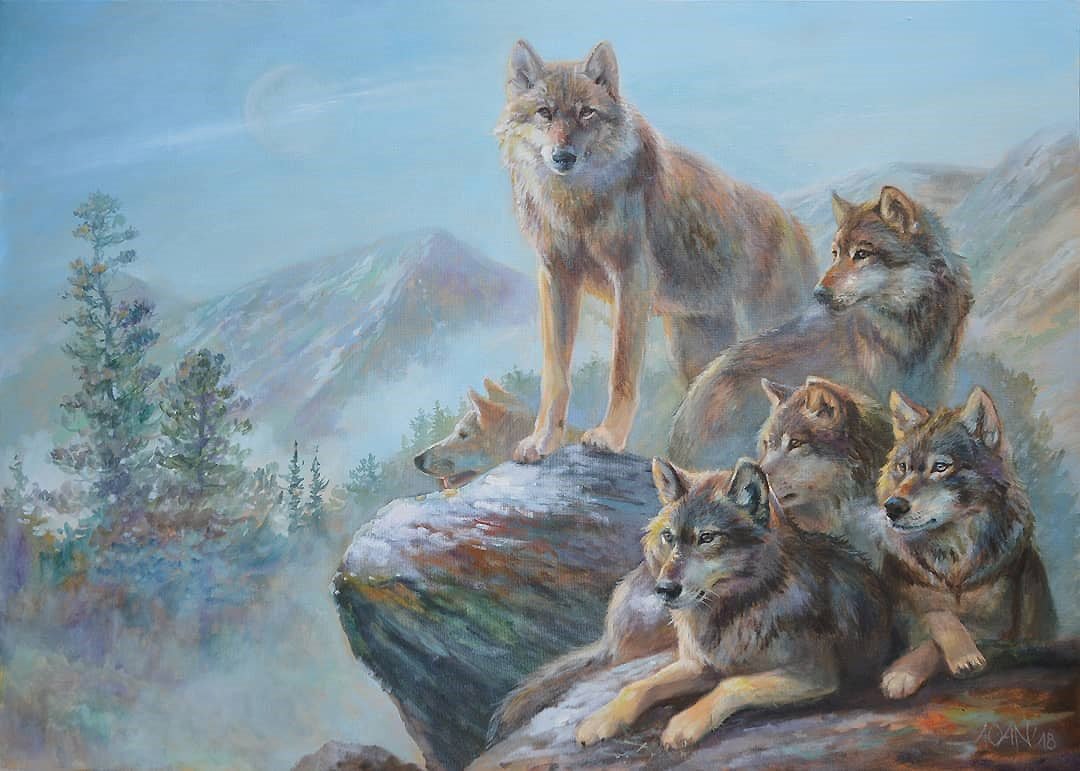 Стая Волков в лесу