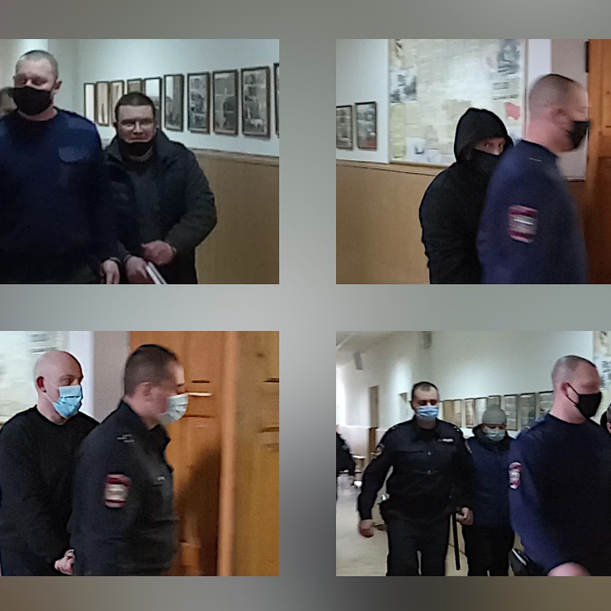 Волки Aria_safarzadegan