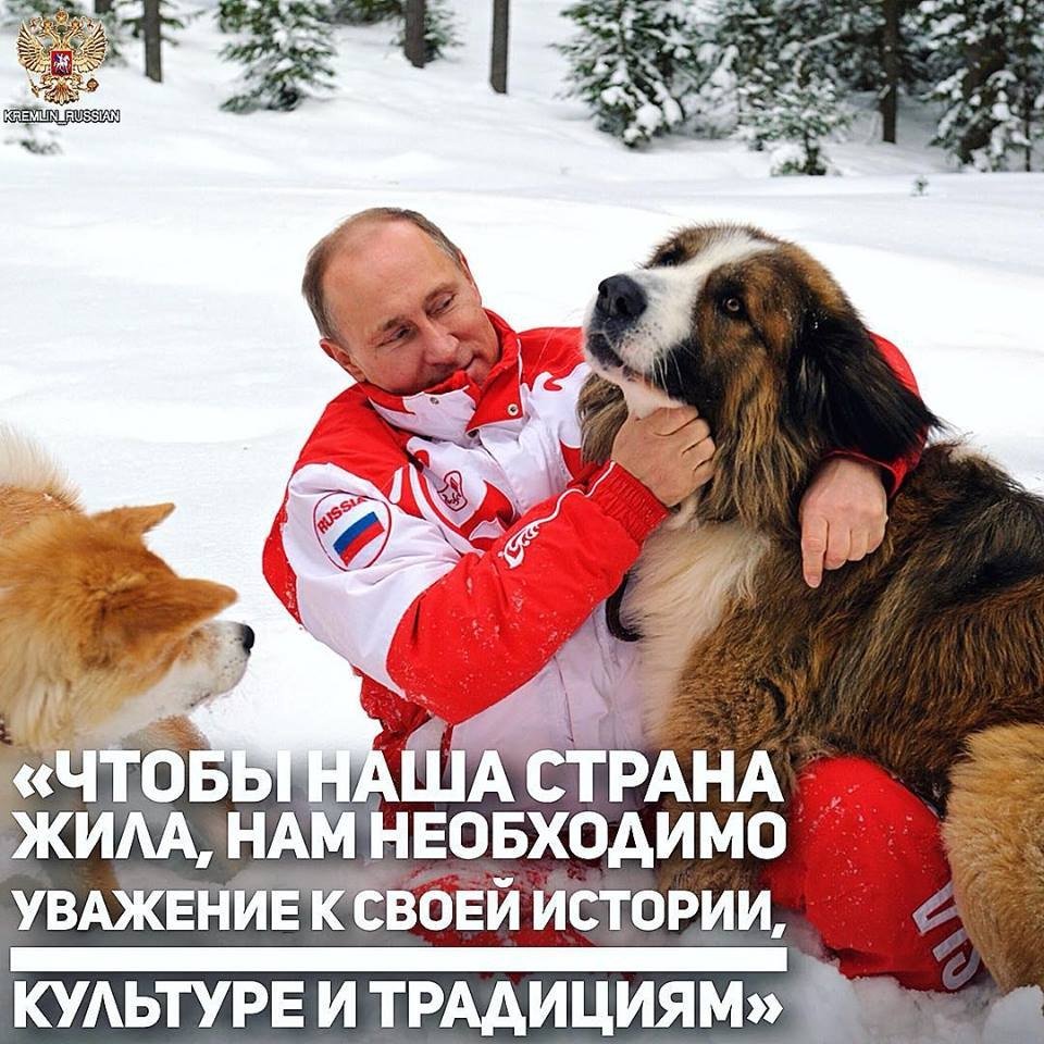 Боснийский торняк