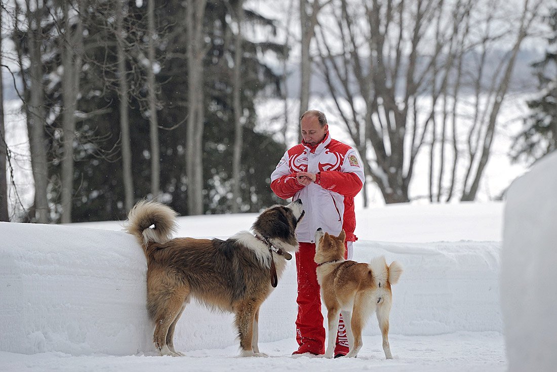 Каракачанская овчарка Баффи