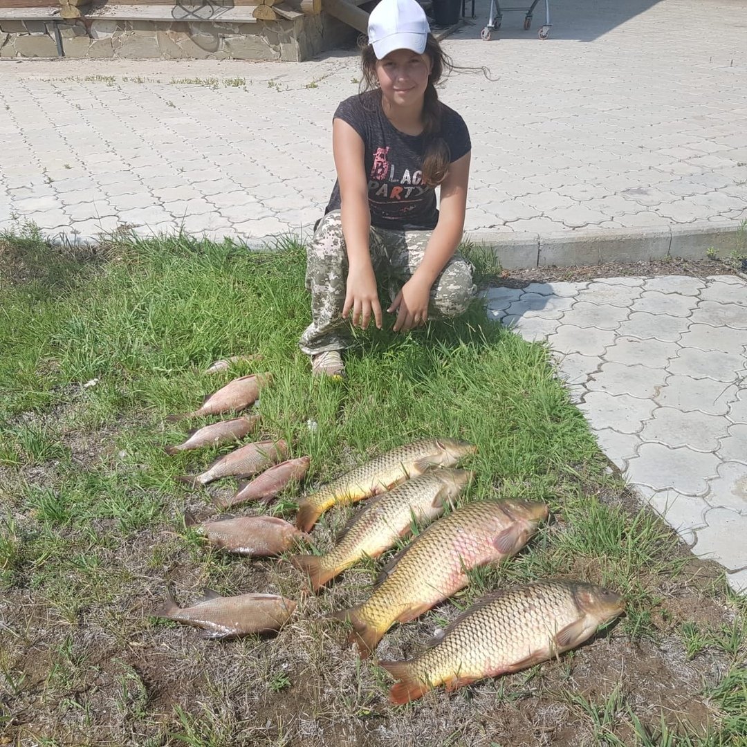 Tommy Kinnerup рисунки