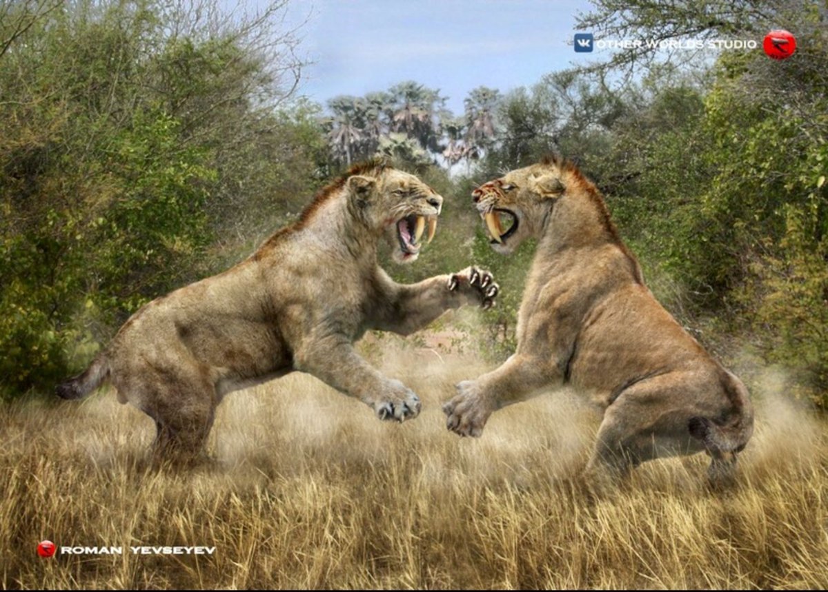 Смилодон мегафауна