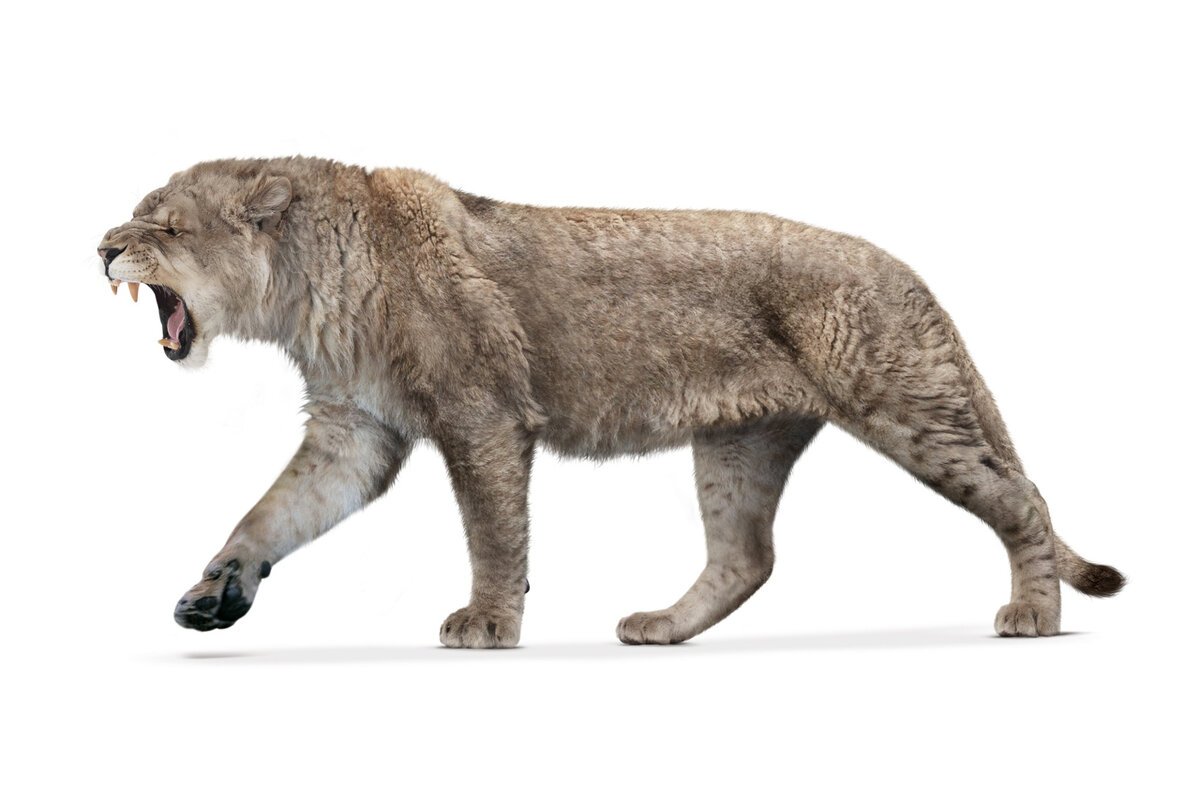 Доисторический пещерный Лев