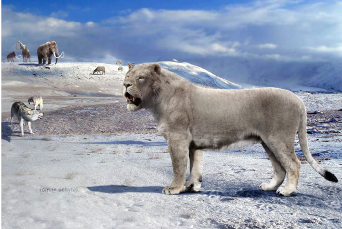 Американский пещерный Лев