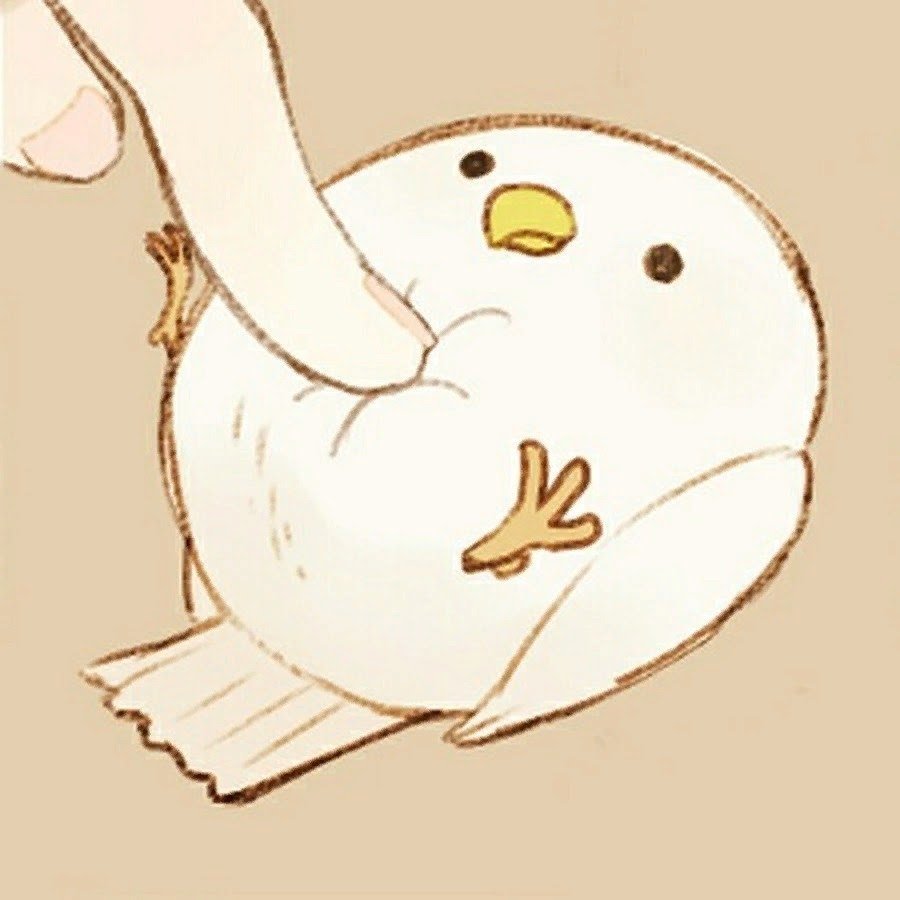 Птенцы длиннохвостой синицы