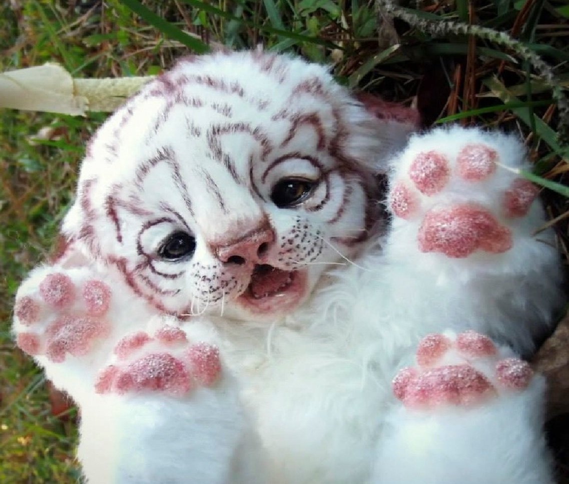 Милые тигрята