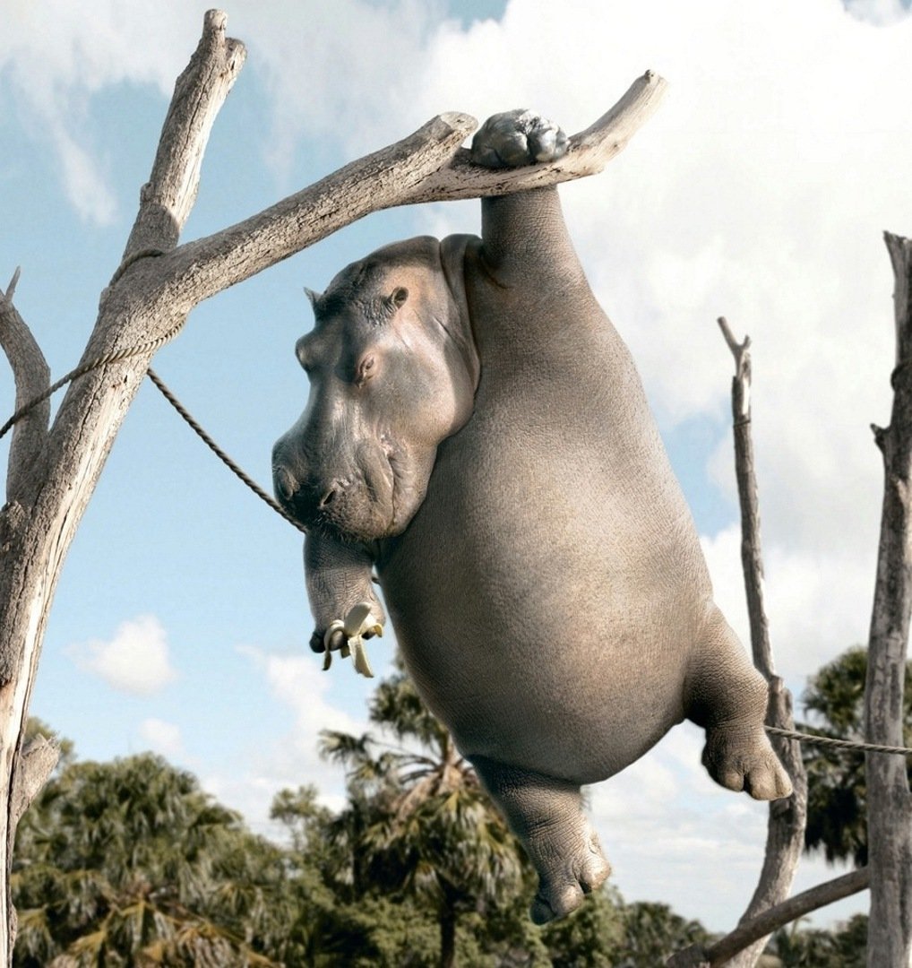 Бегемотик милый мультяшный