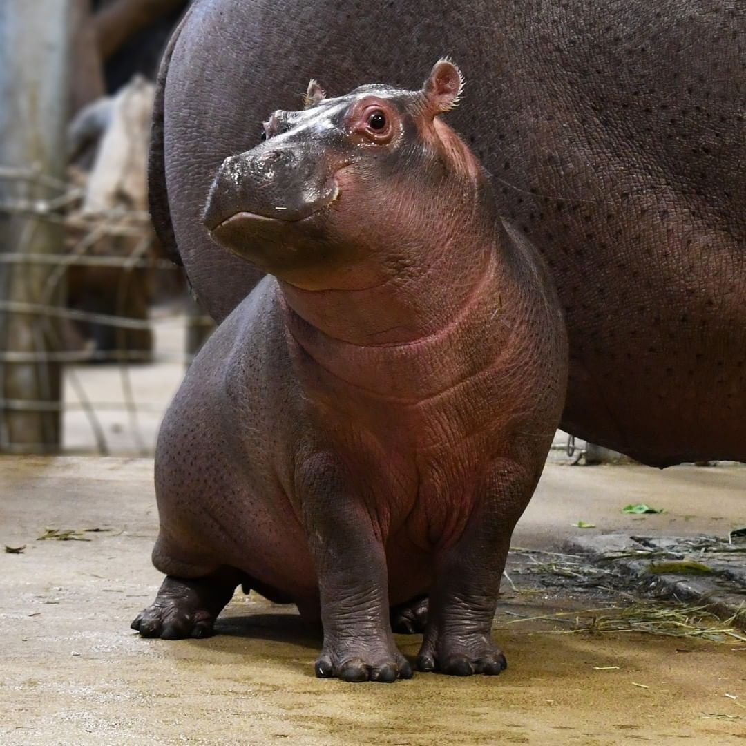 Фигурки из глины для детей