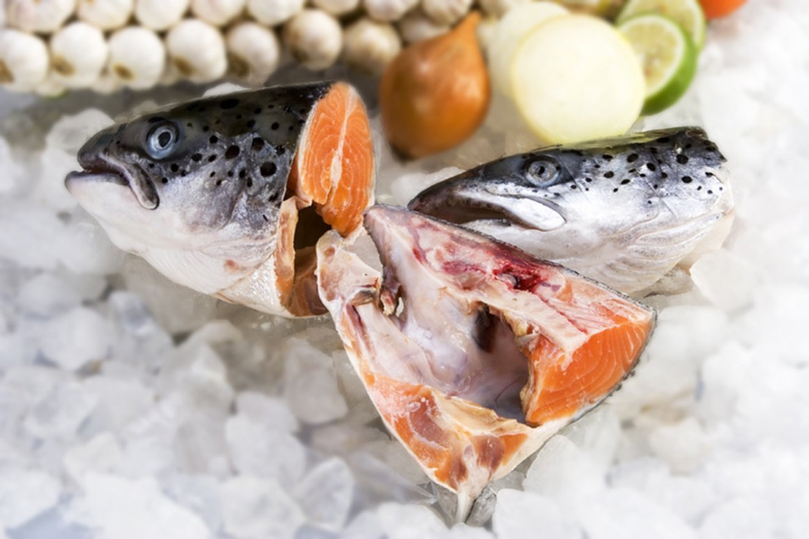 Головы лосося 400+