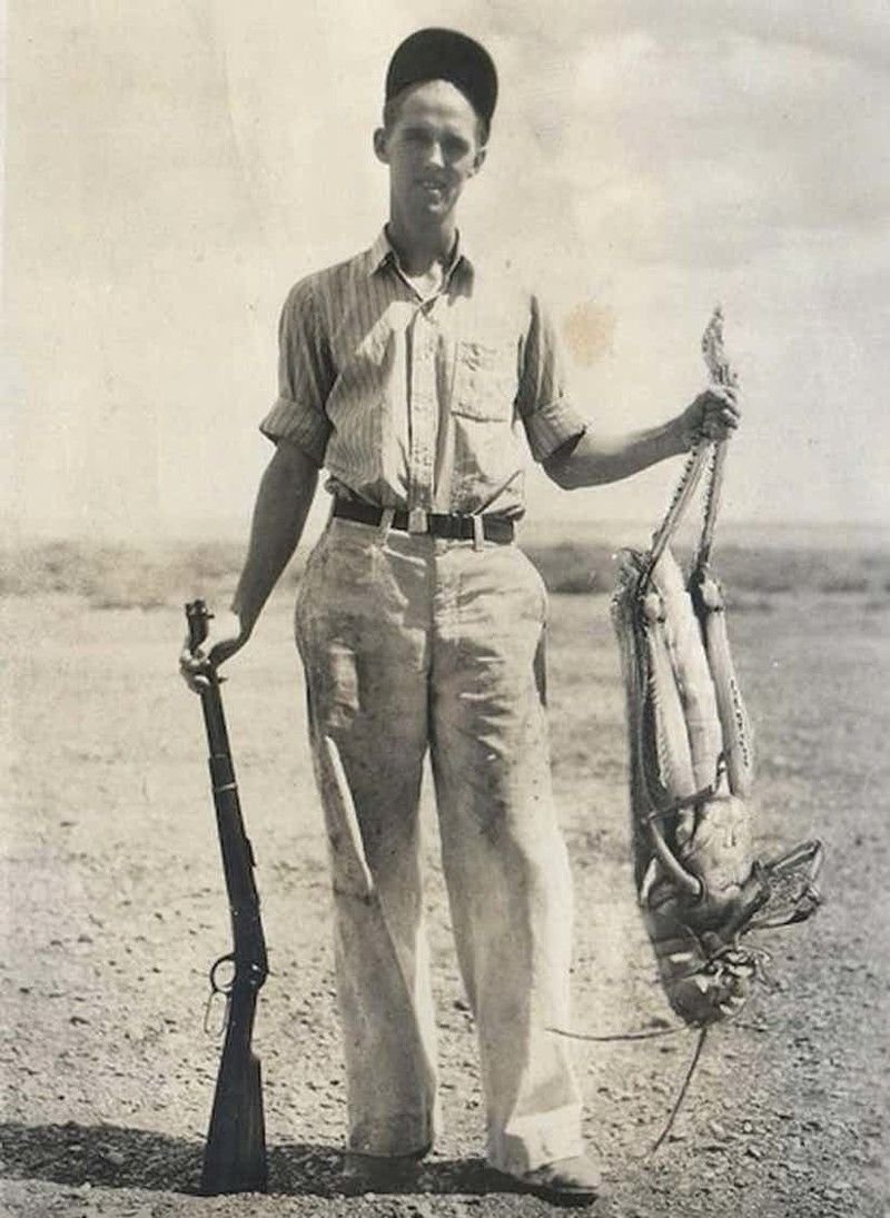 Гигантский кузнечик 1937