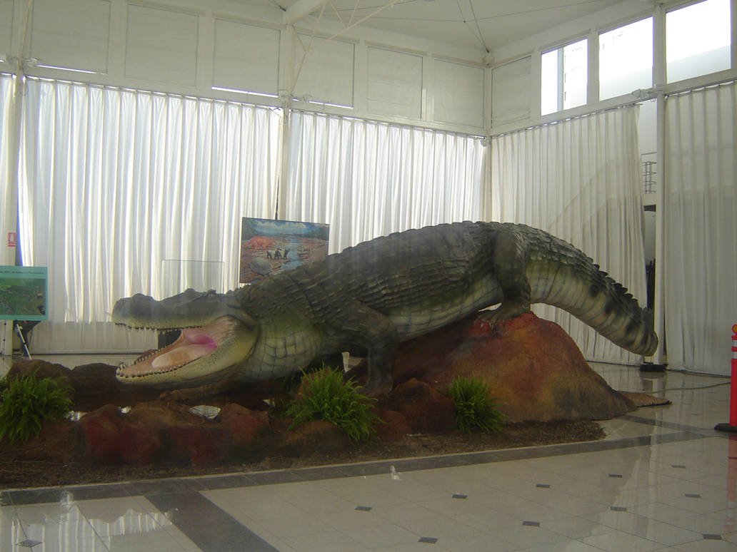 Рамфозух крокодил