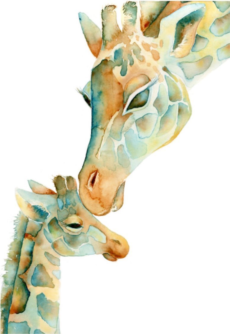 Жирафы акварелью
