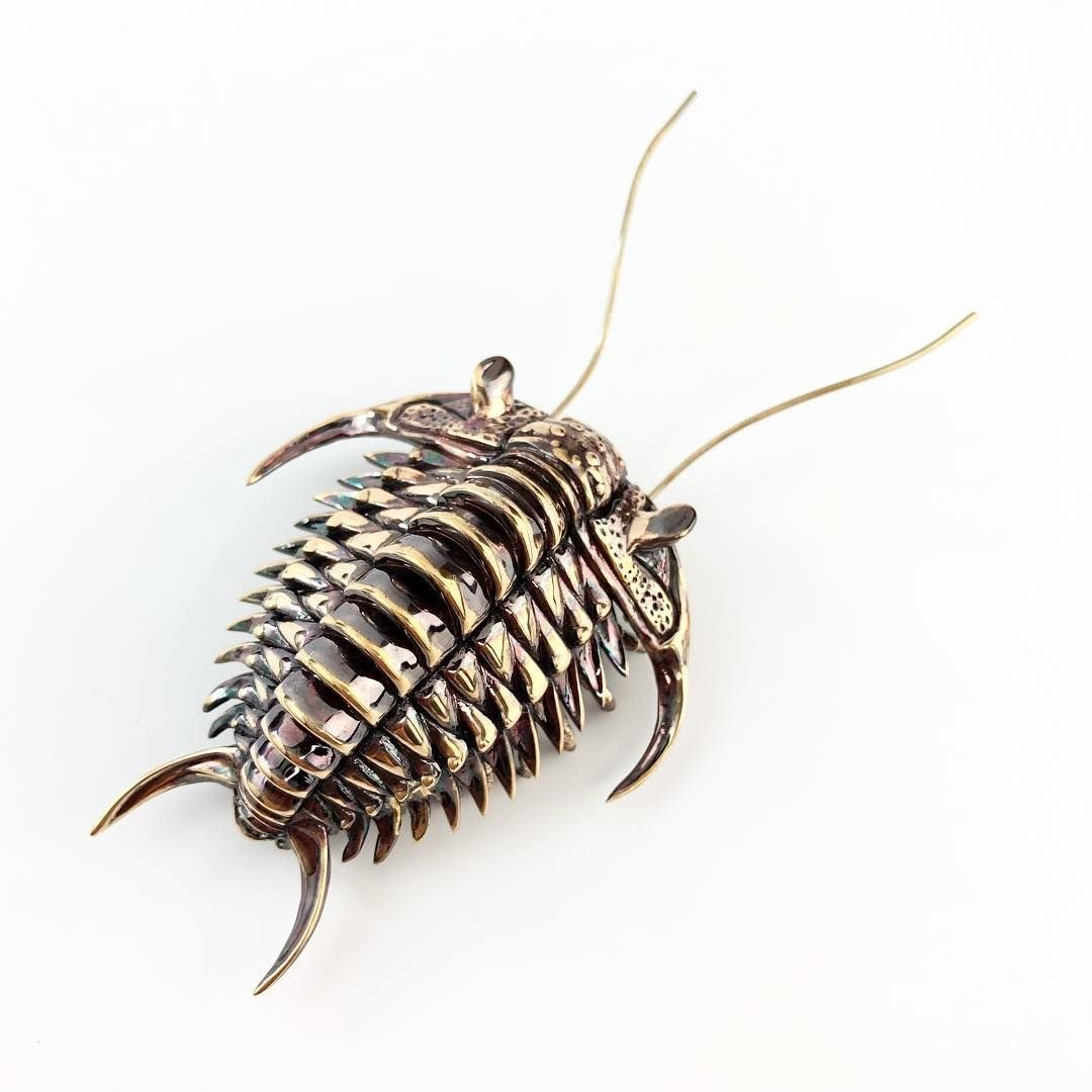 Современные трилобиты