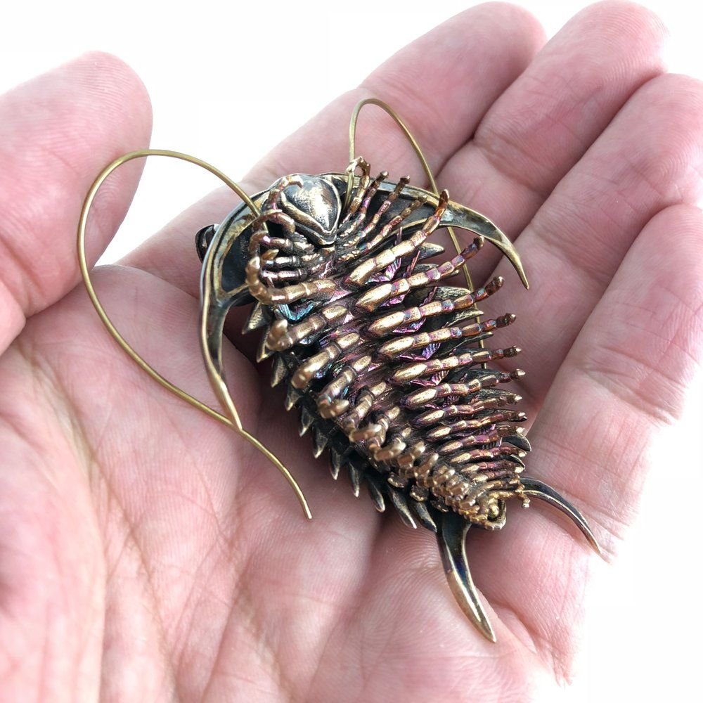 Щитень и Трилобит