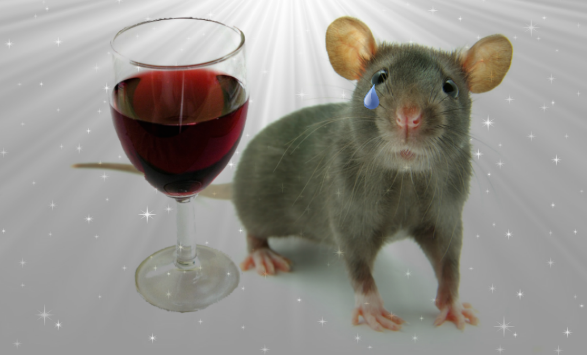 Принял мыши. Мышь пьет. Мышь алкоголик. Мышь с рюмкой.