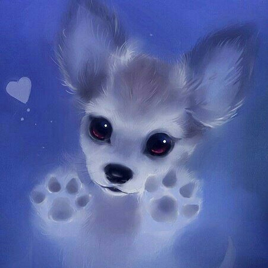 Милые животные