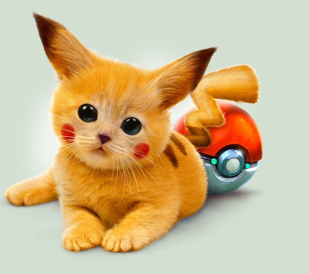 Няшные котики