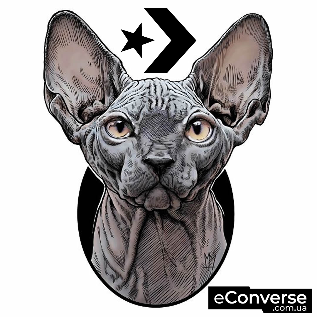 Сфинкс (порода кошек)