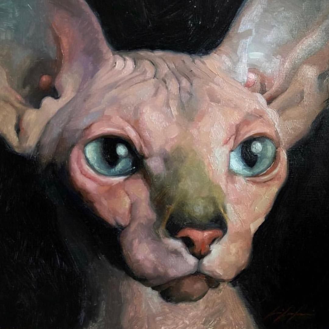 Египетская кошка в профиль