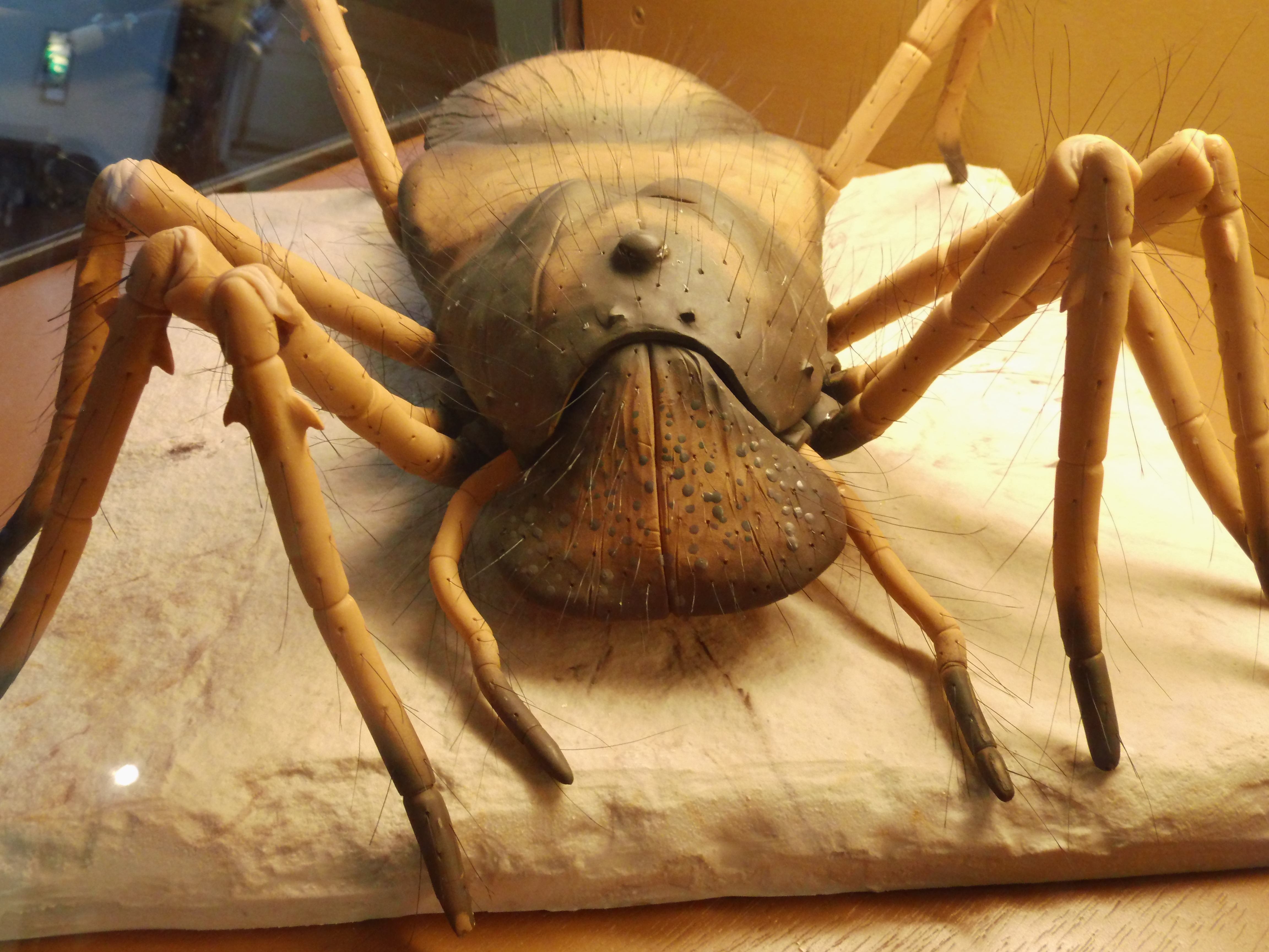 Предки паукообразных. Megarachne servinei. Мегарахна паук. Мегарахна паук доисторический. Доисторический паук гигантский.