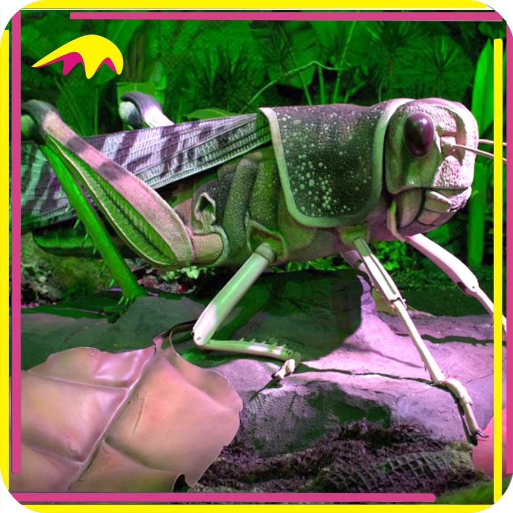 Самые большие насекомые в мире видео для детей