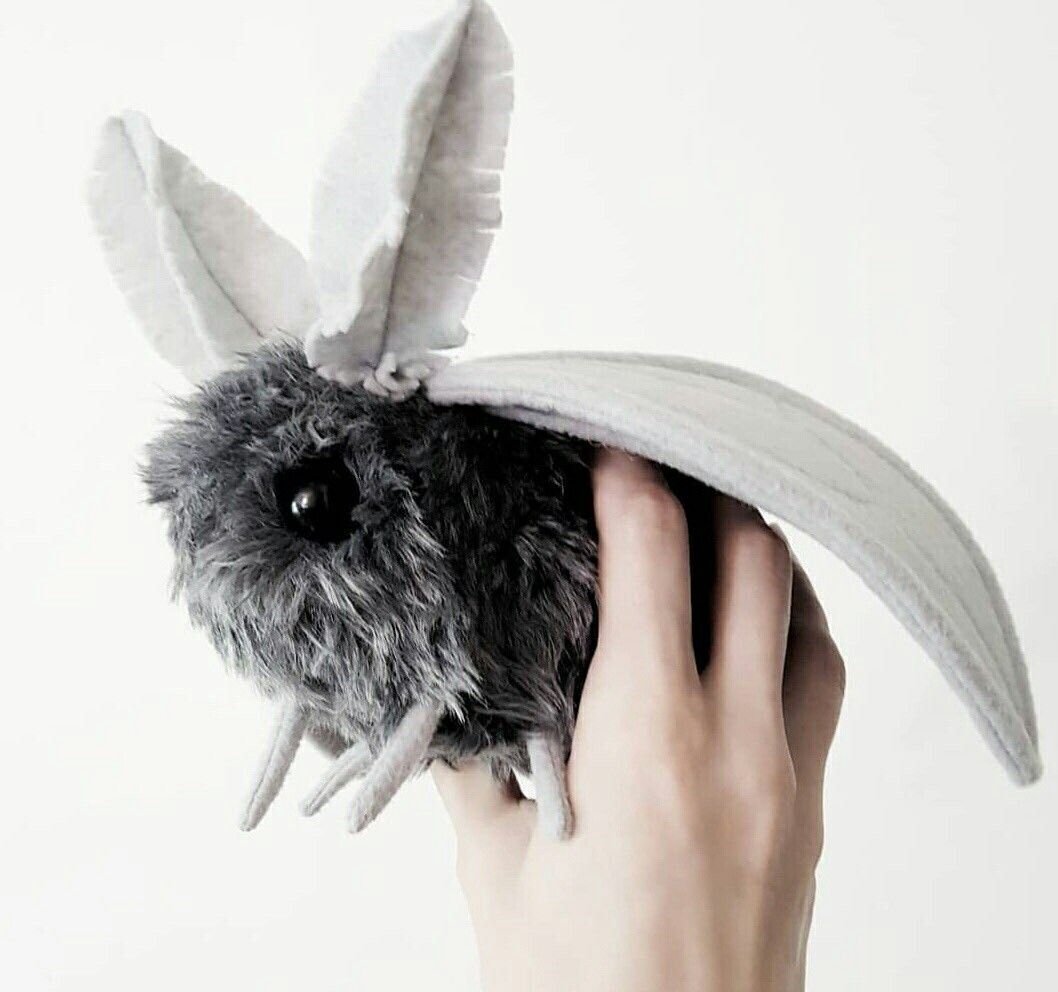 Мотылек тутового шелкопряда