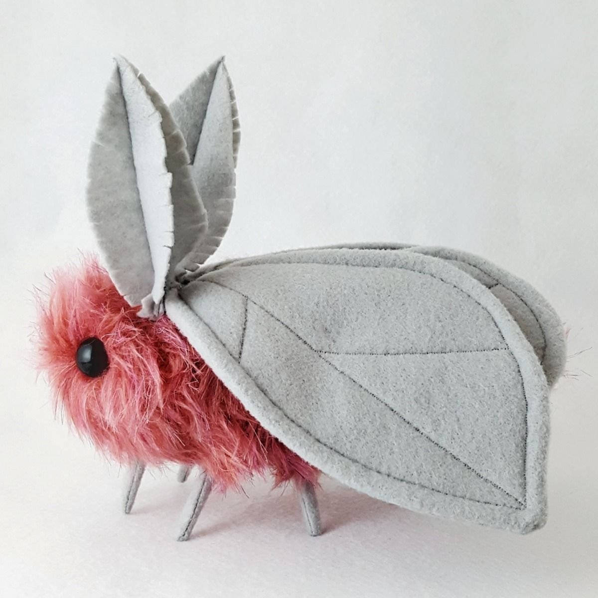 Мохнатые мотыльки глаза