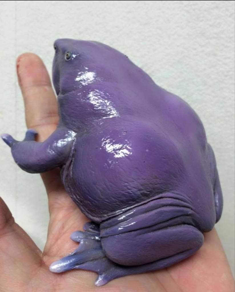 Лягушка Nasikabatrachus sahyadrensis