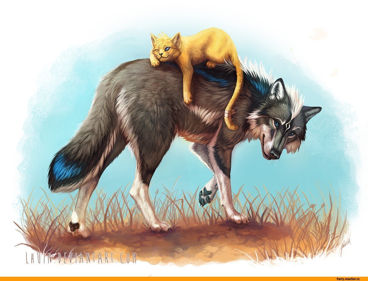 Арты кошек и собак