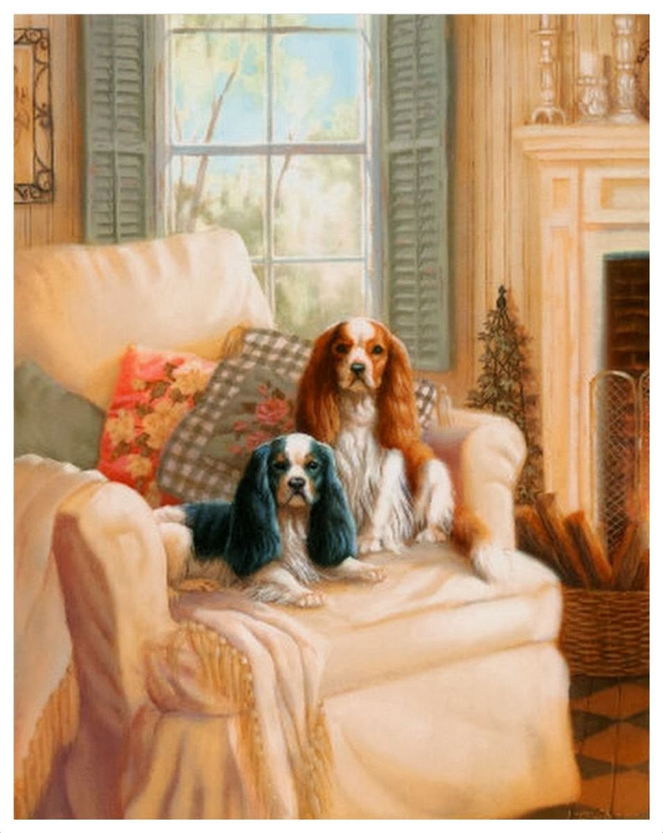 Кавалер Кинг Карл спаниель