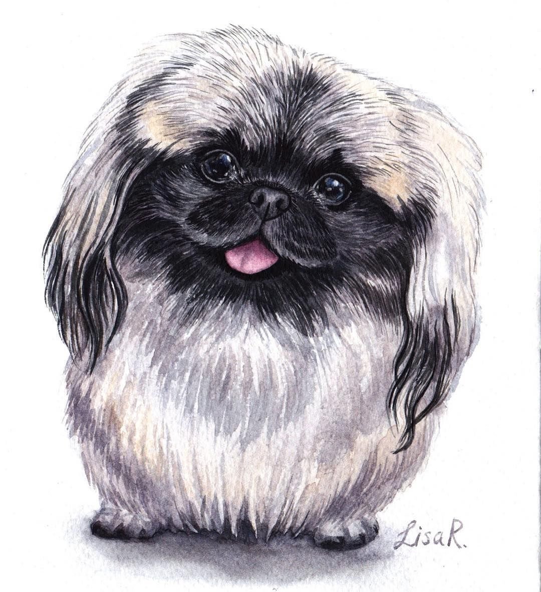 Пекинес мультяшный