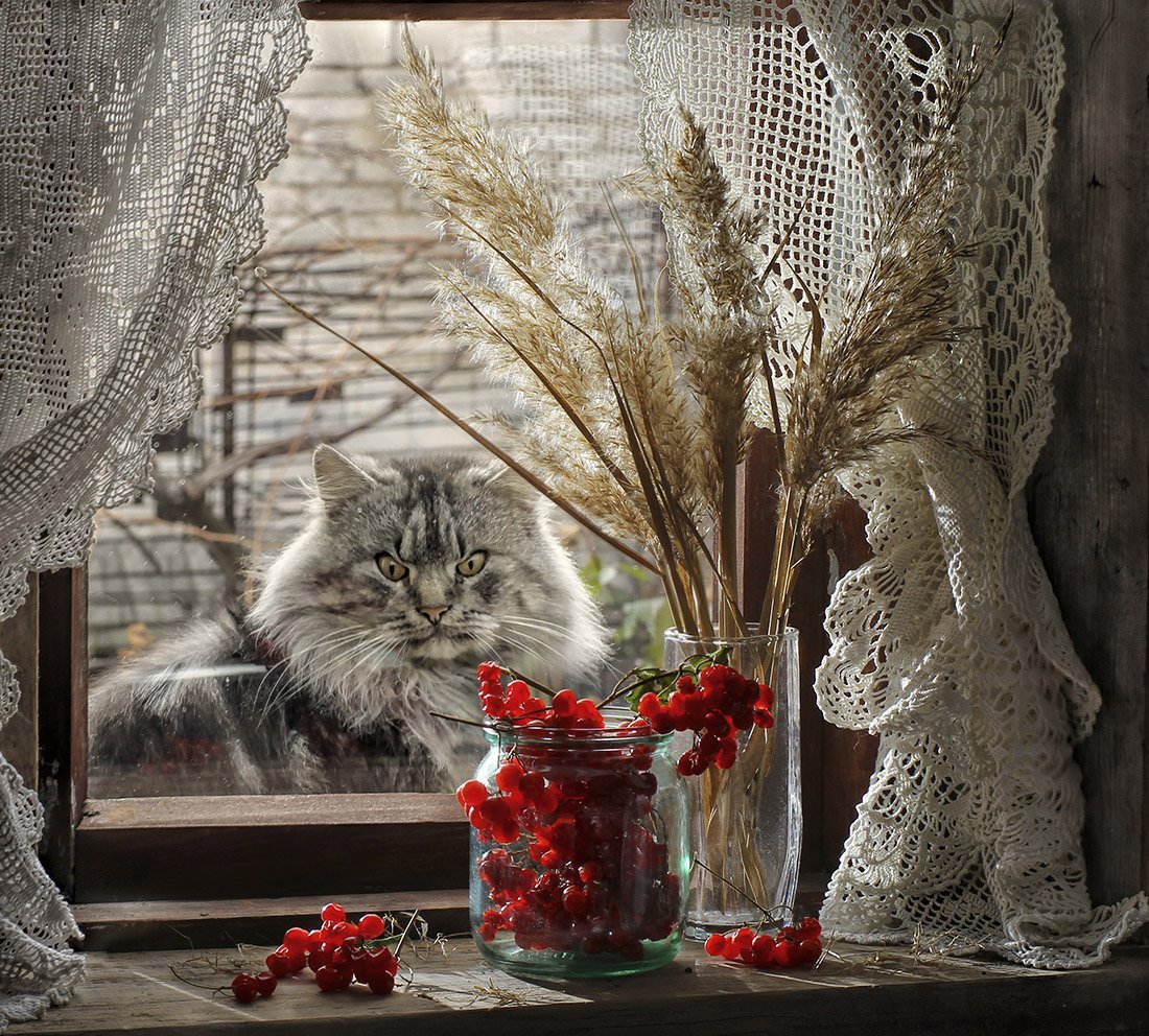 Зимний натюрморт на окне