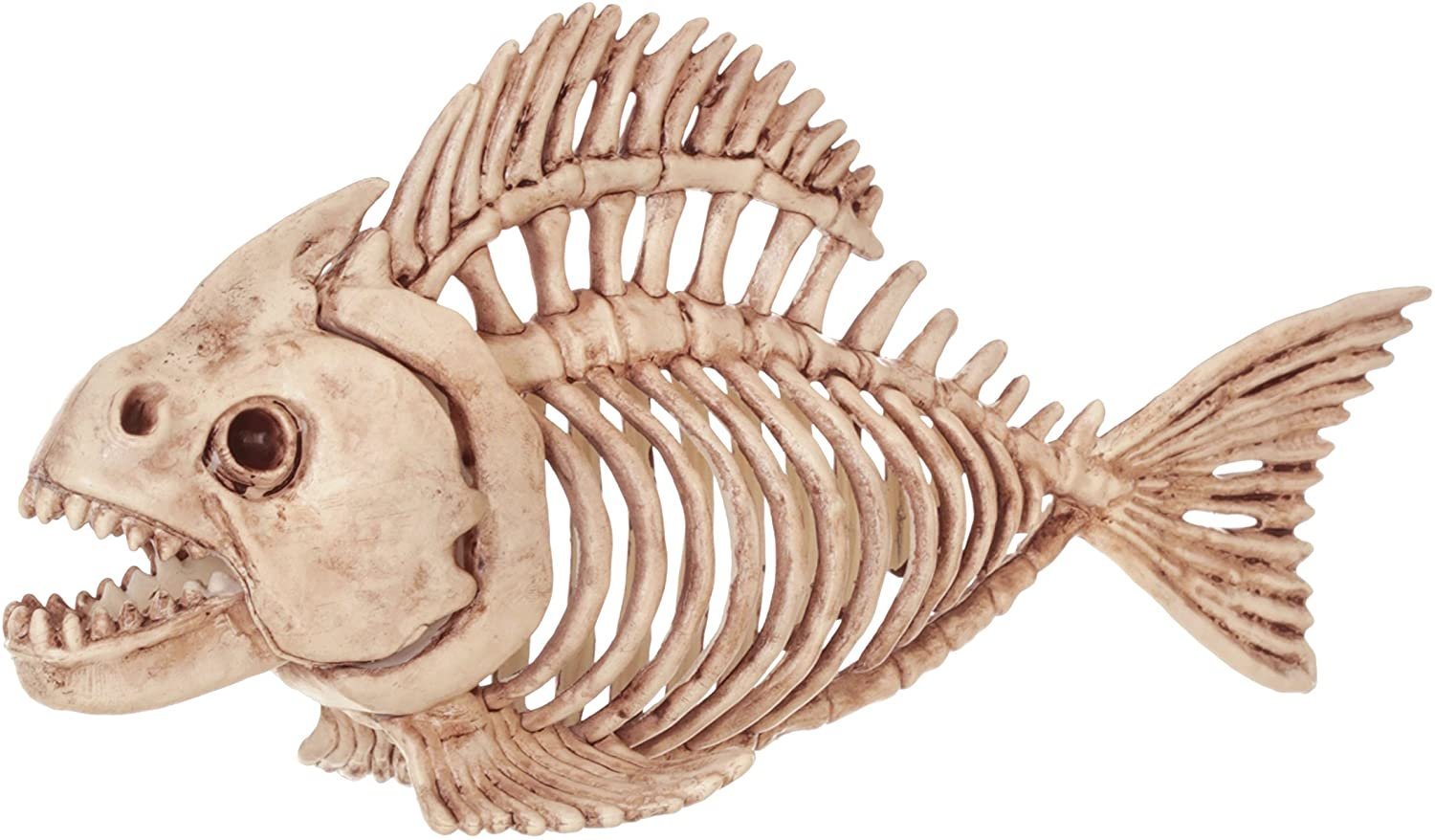Кости рыбы собаке. Кейпкодский карась скелет. Рыбный скелет. Череп рыбы. Скелет древней рыбы.