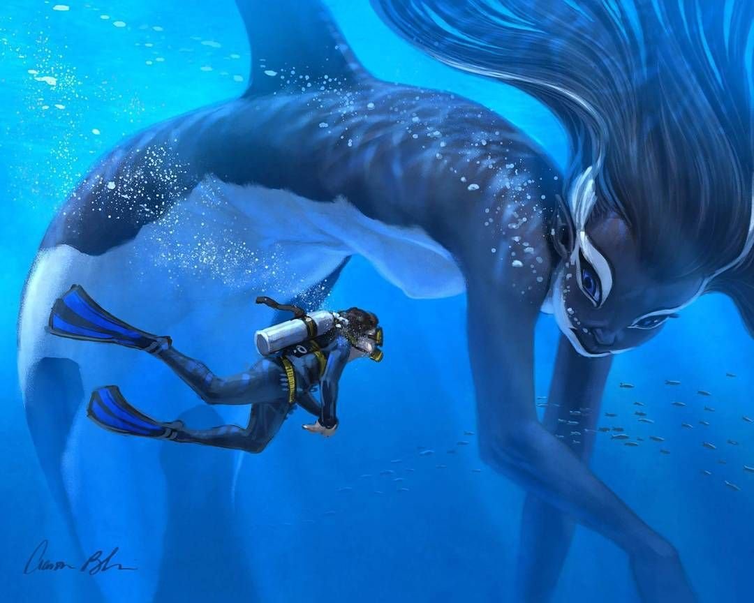 Китовая акула фурри