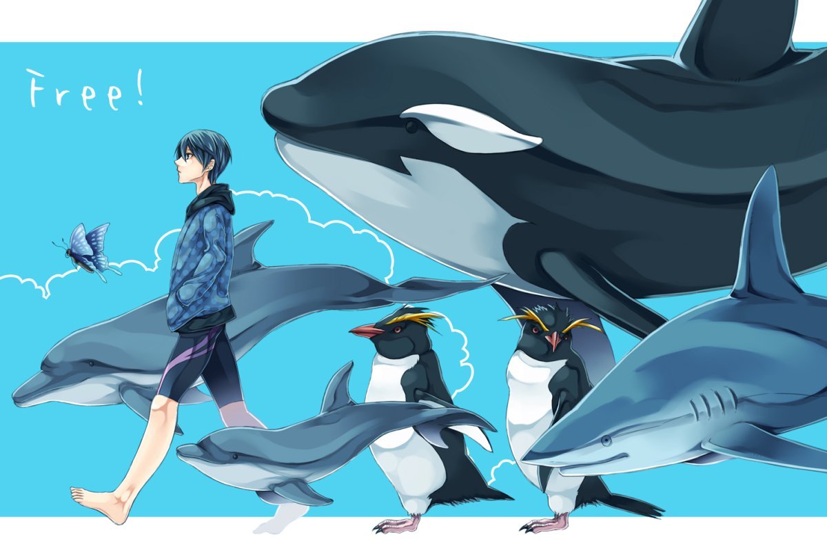 Макото Касатка и Хару