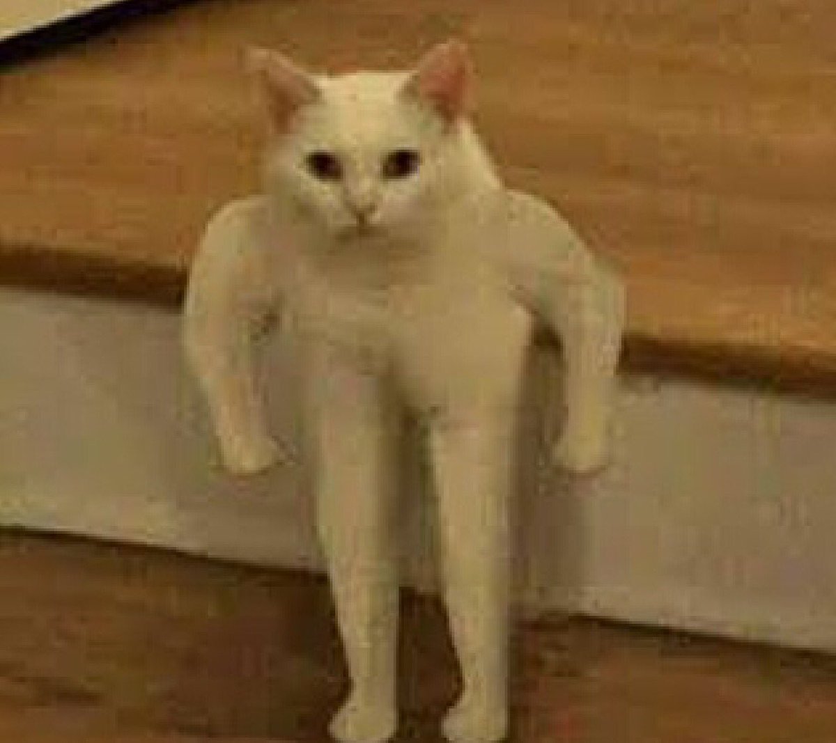 Ты БЫКАНУЛ или мне показалось Мем