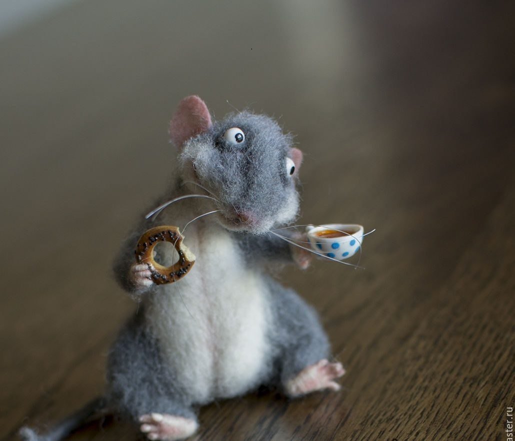 Смешные крысы