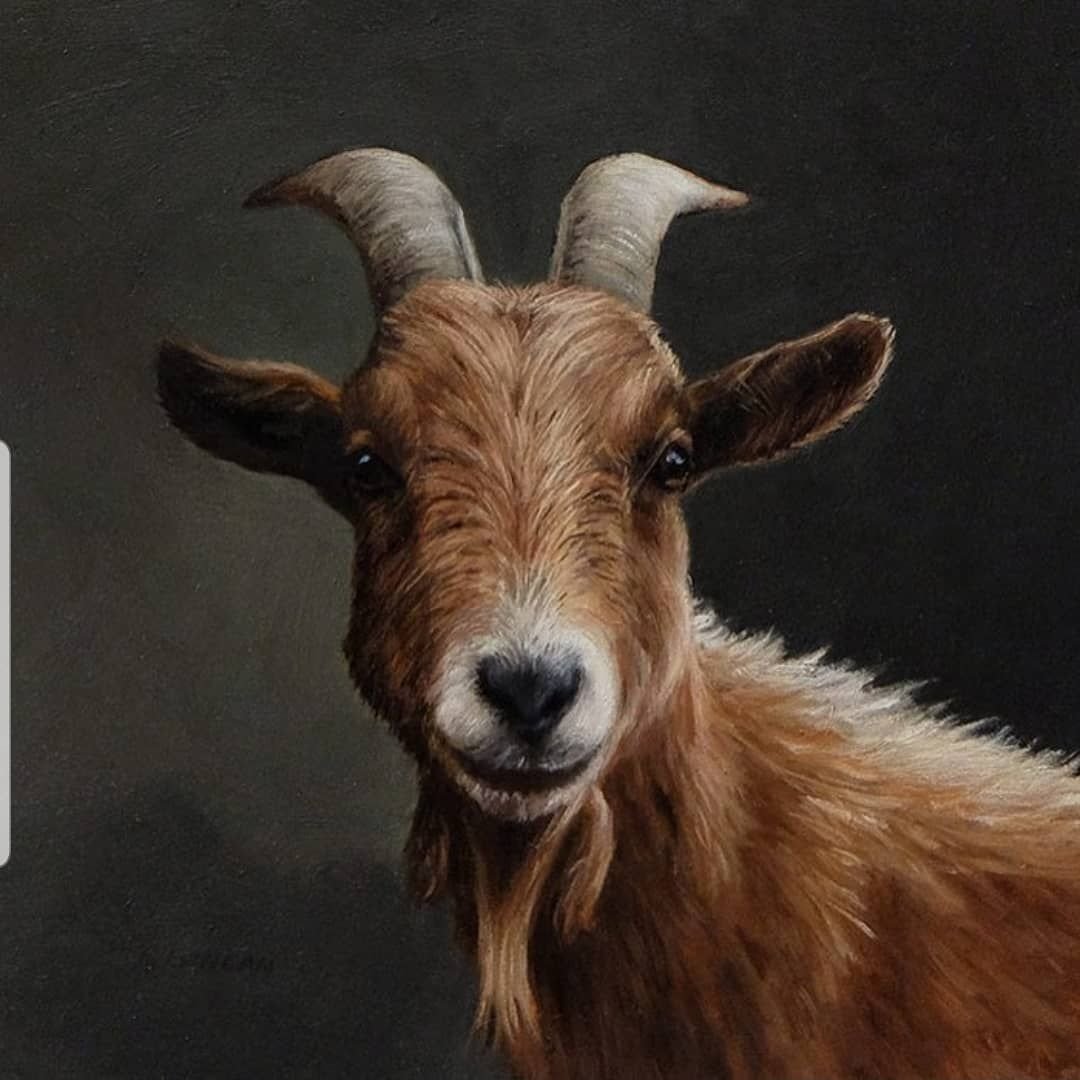 Козлик портрет