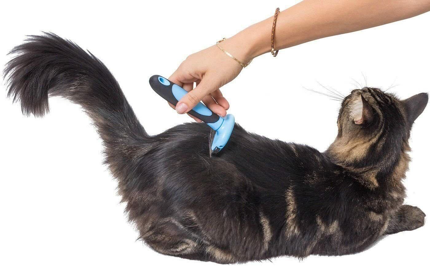 Catit массажер для кошек с креплением к стене h431528