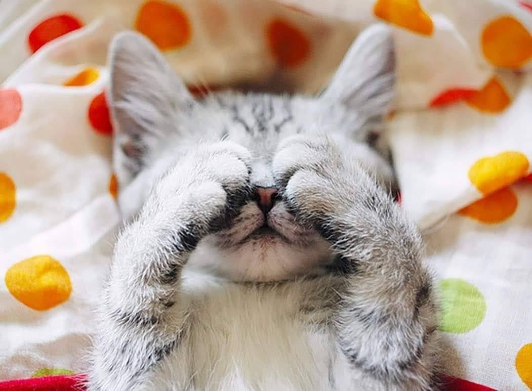 Утро понедельника