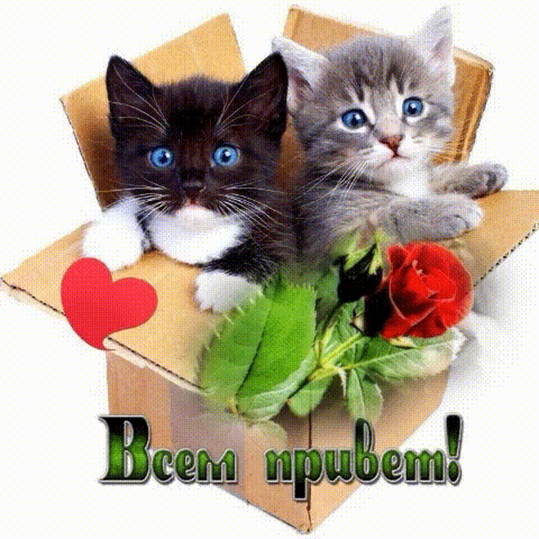 Привет хорошему человеку