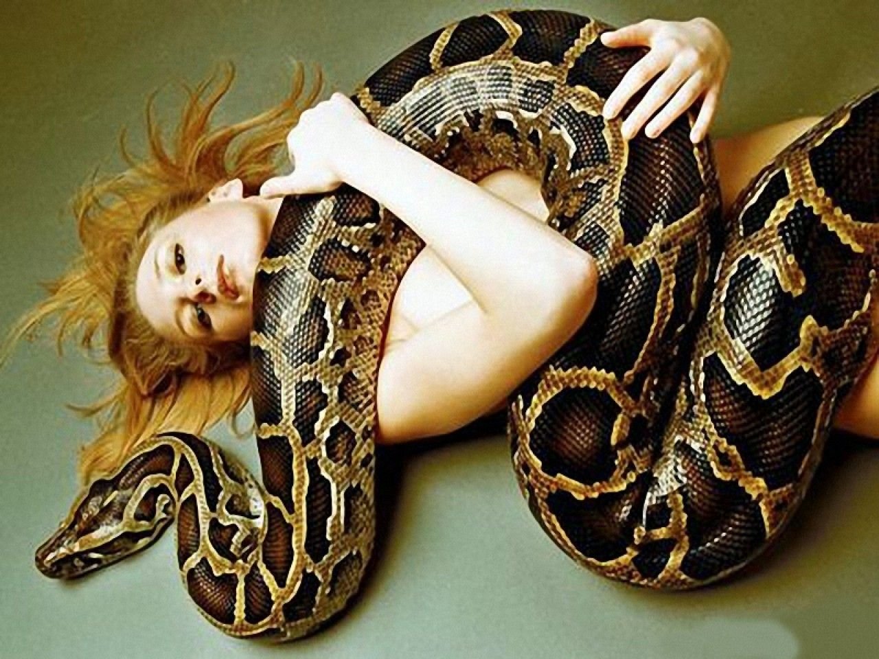 Анаконда во сне. Фотосессия со змеями. Девушка змея. Девушка и питон.