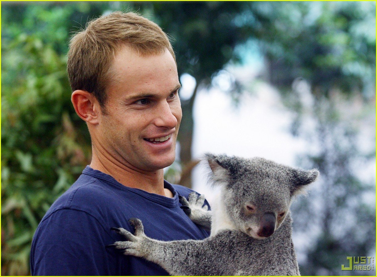Алекс коал. Лоун Пайн коала. Коала на руках у человека. Коала обнимает человека. Коала мужчина.
