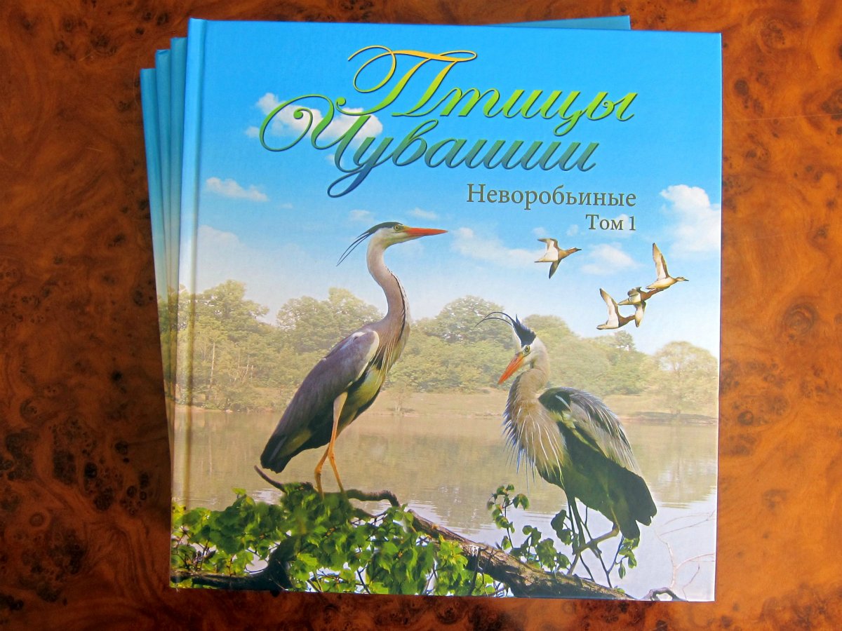 Хищники Чувашии